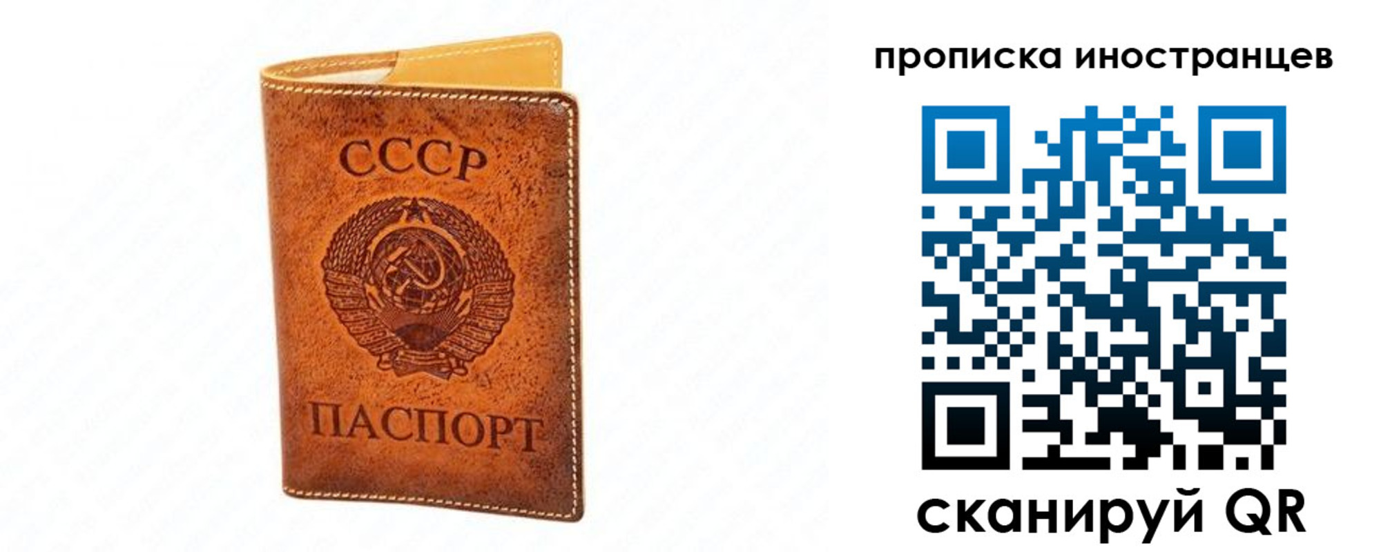 прописка для школы в Белокурихе